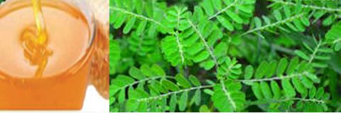 keezanalli new copy.jpg