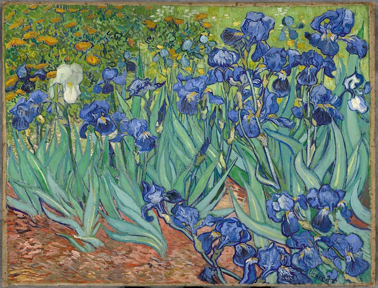 where-to-see-van-gogh-paintings-11