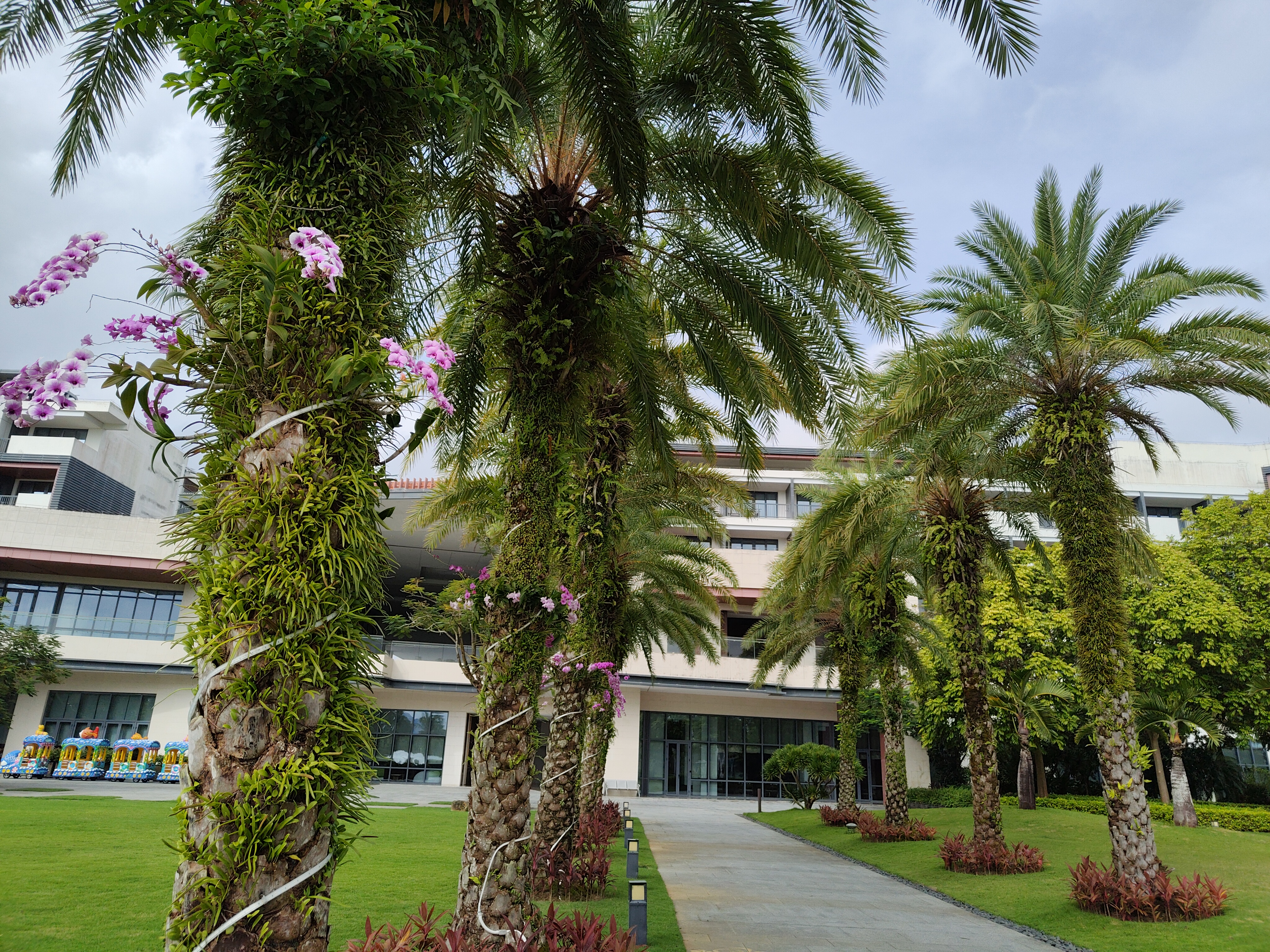 海南島舌尖尋味 ~ 熱情島嶼的美食印象