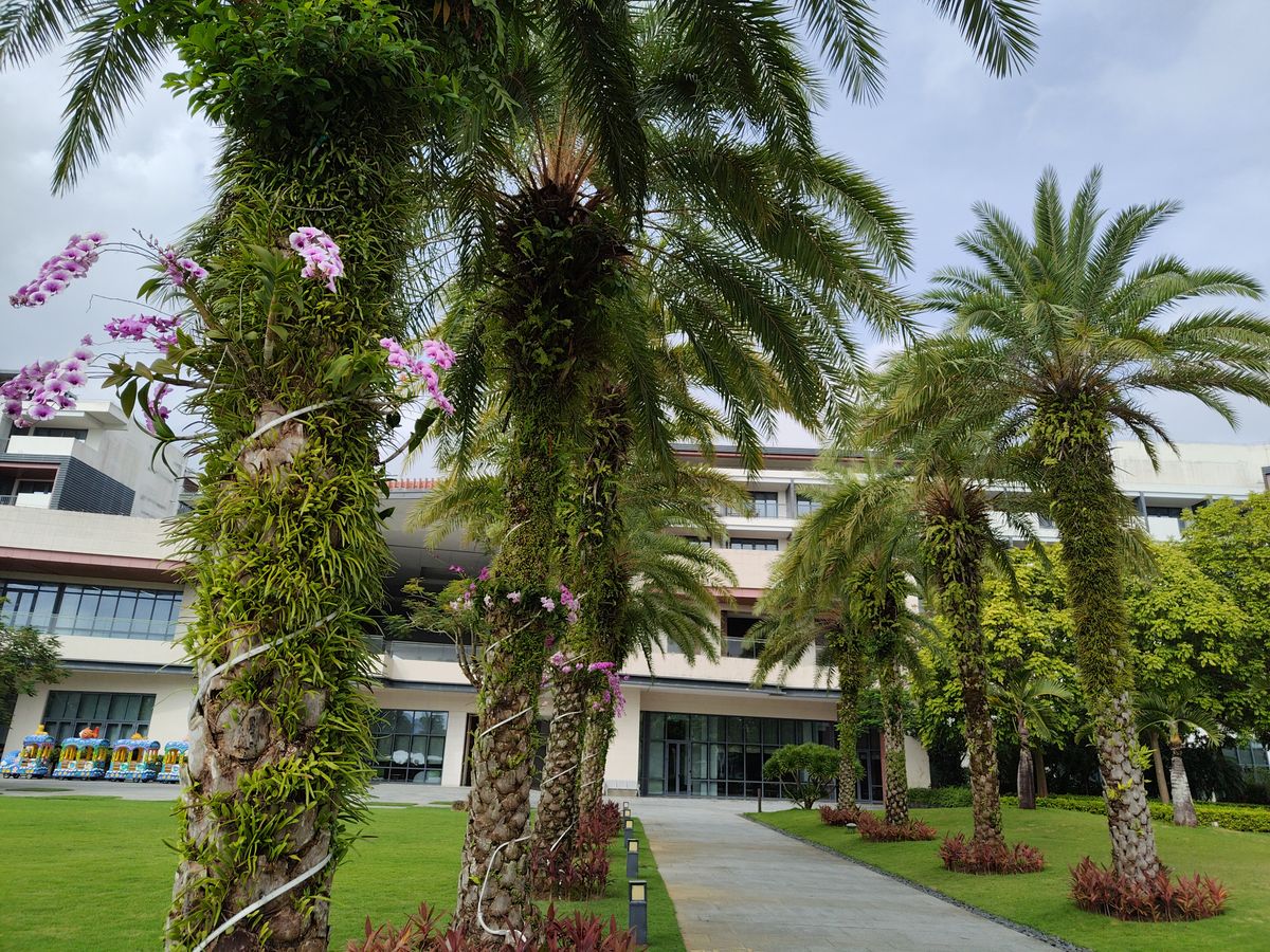 海南島舌尖尋味 ~ 熱情島嶼的美食印象