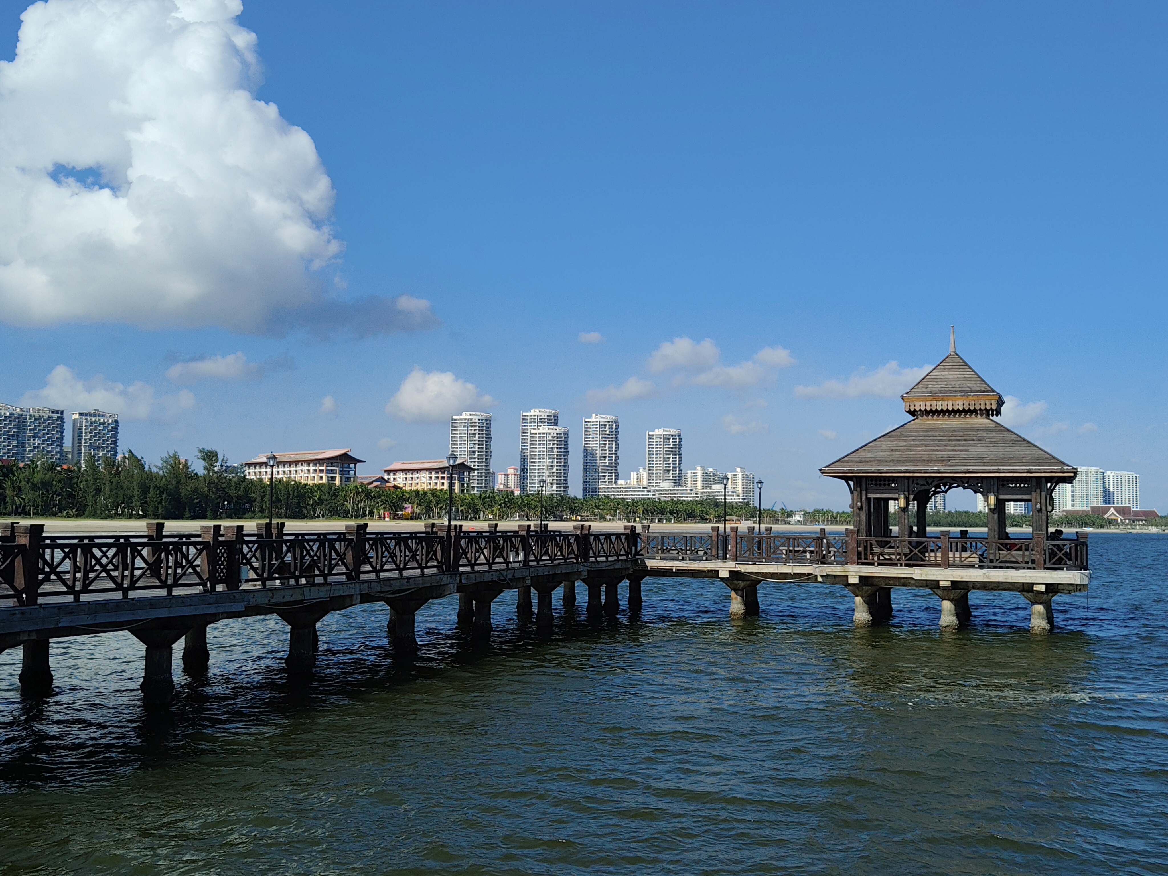 2025-10-09 文昌宋氏祖居 瑞丰椰子雞 逸龍灣棧橋 海上圖書館 萬寧神州半島私海墅酒店 (138)