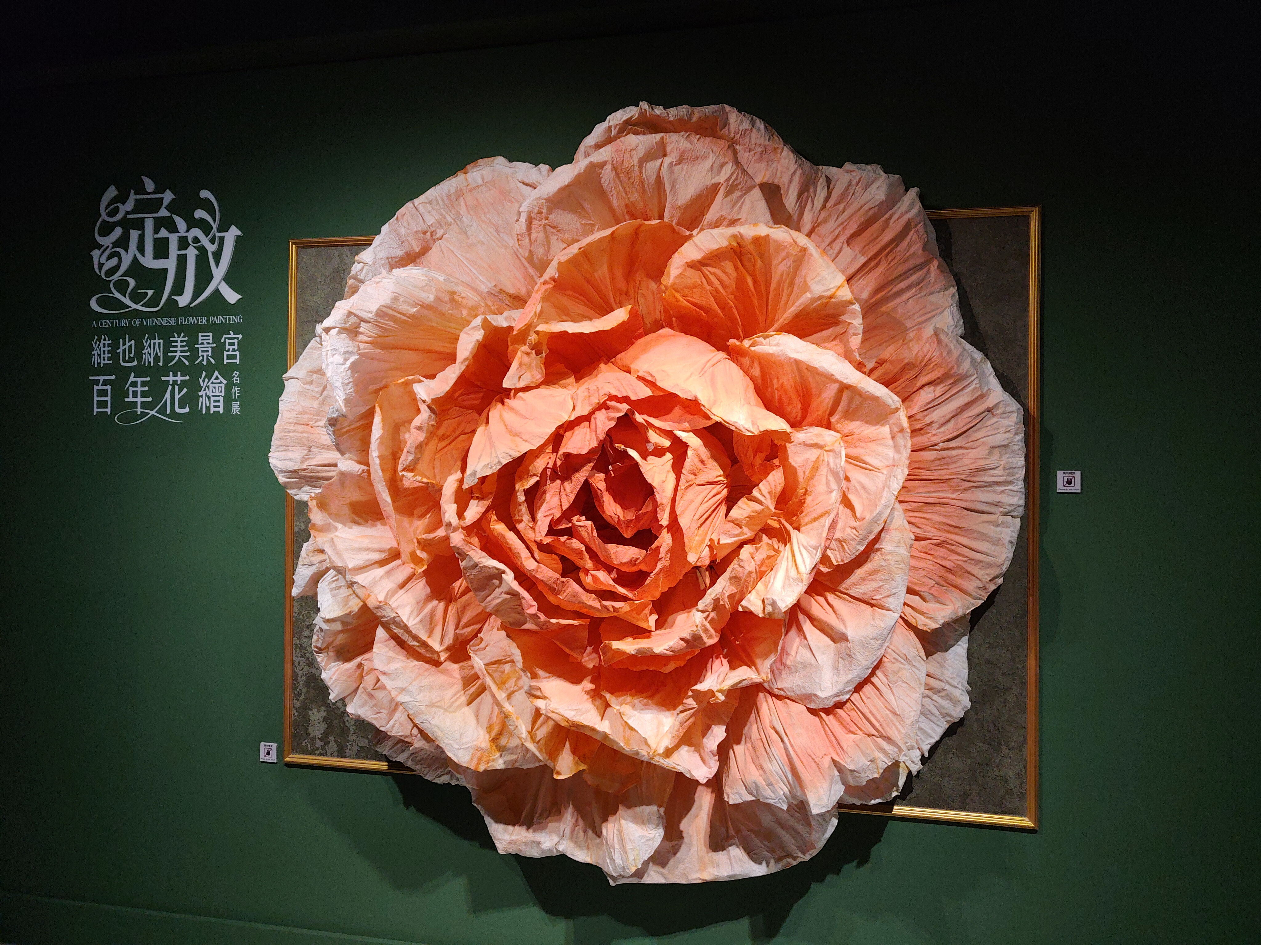 花開易逝 藝術永恆 ~ 綻放維也納美景宮百年花繪名作展