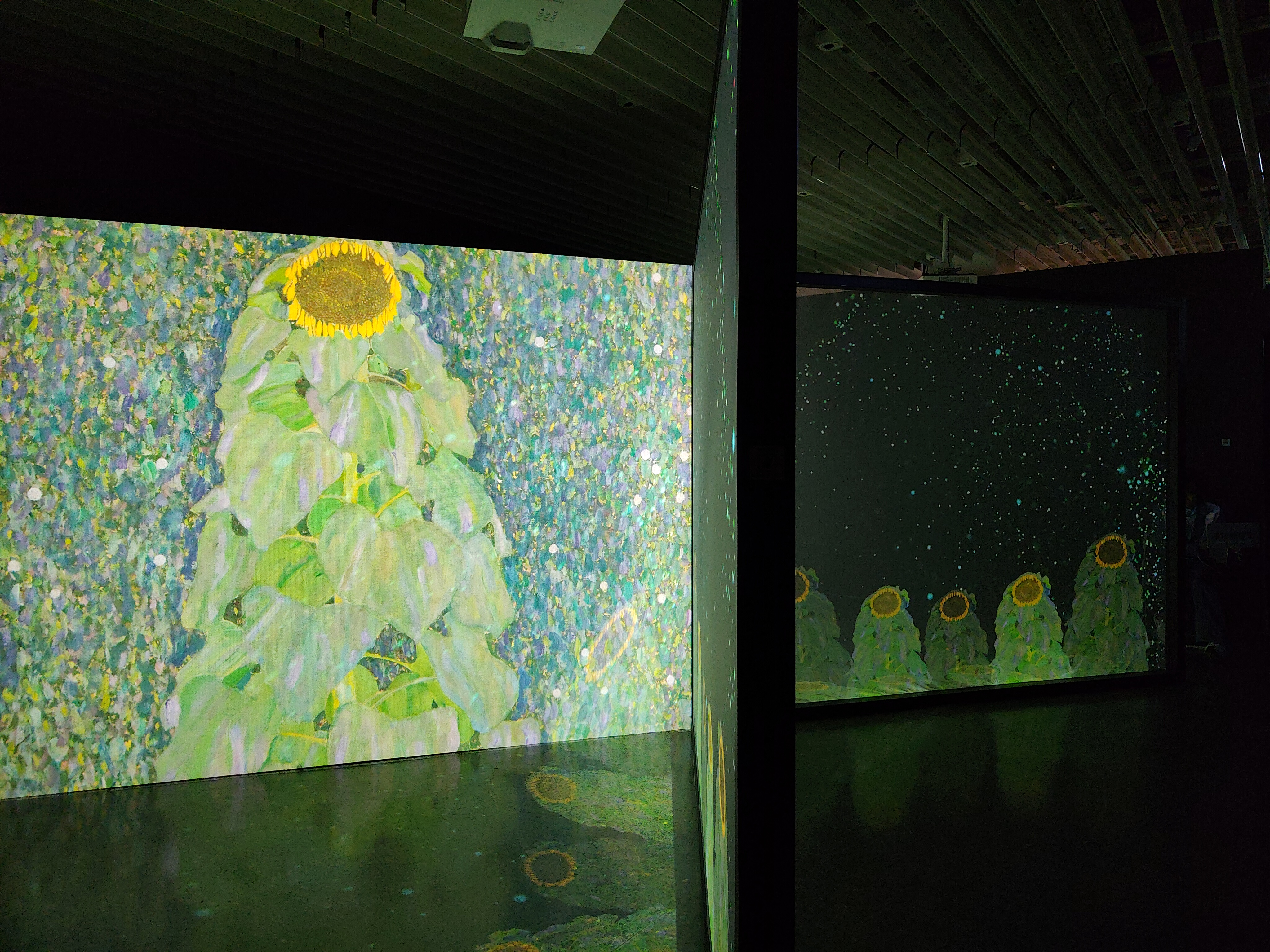 IMG_20260228_153139_1