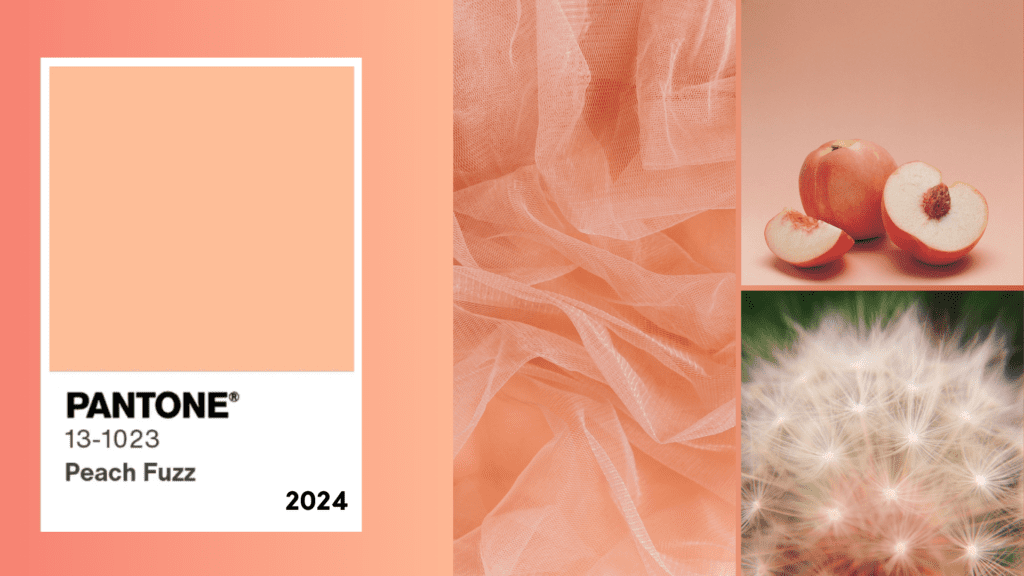 Pantone-Header--1024x576