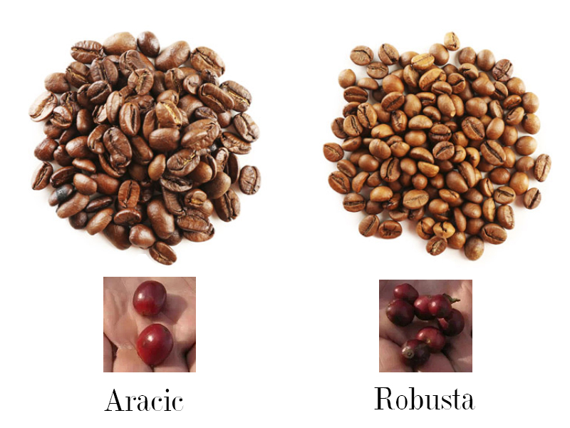 Coffee 2