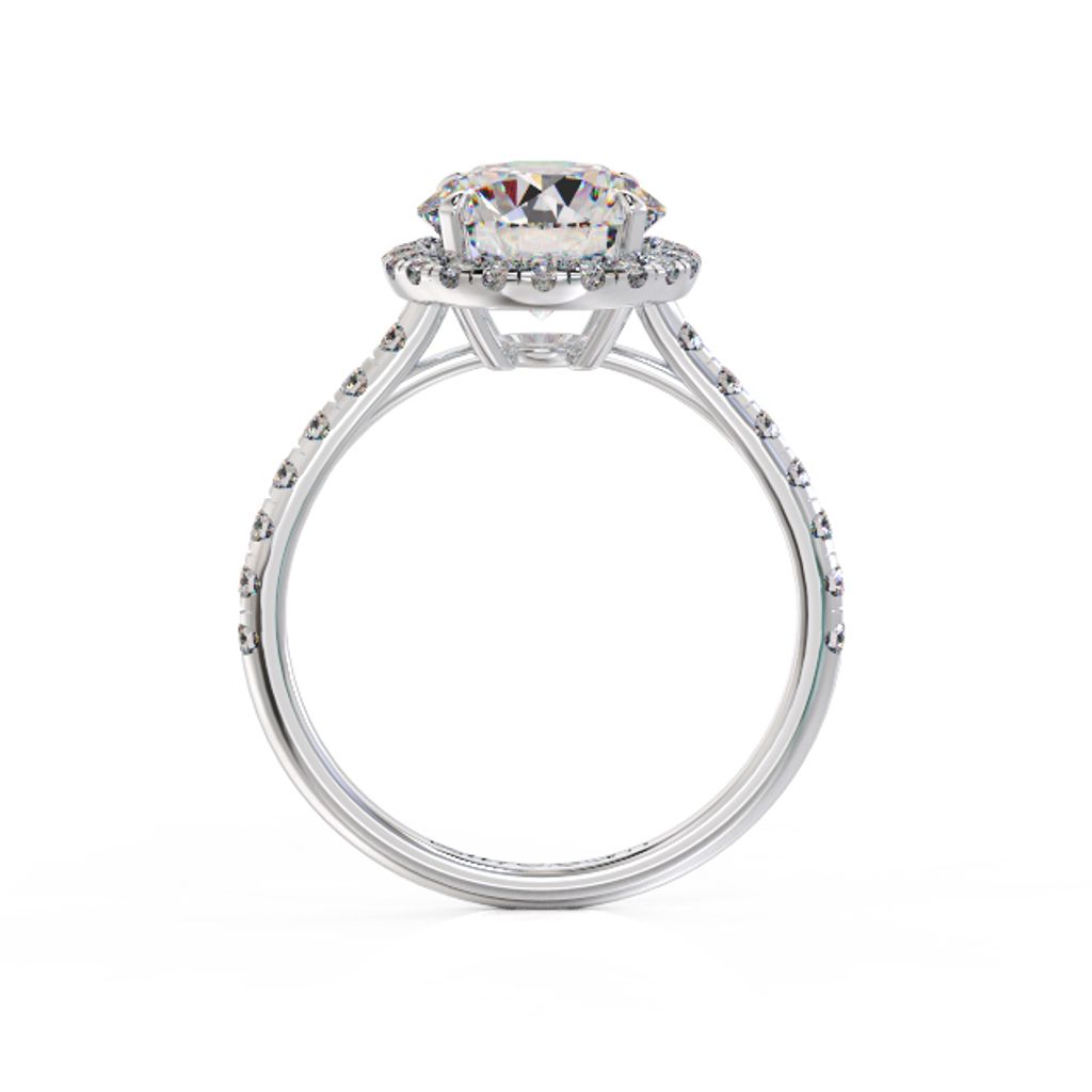 2024-12-04 Galaxy Engagement Diamond Ring 3