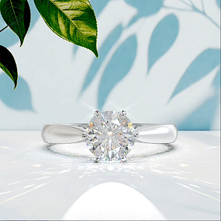 2026-02 Promise Classic 經典鑽戒 (2)