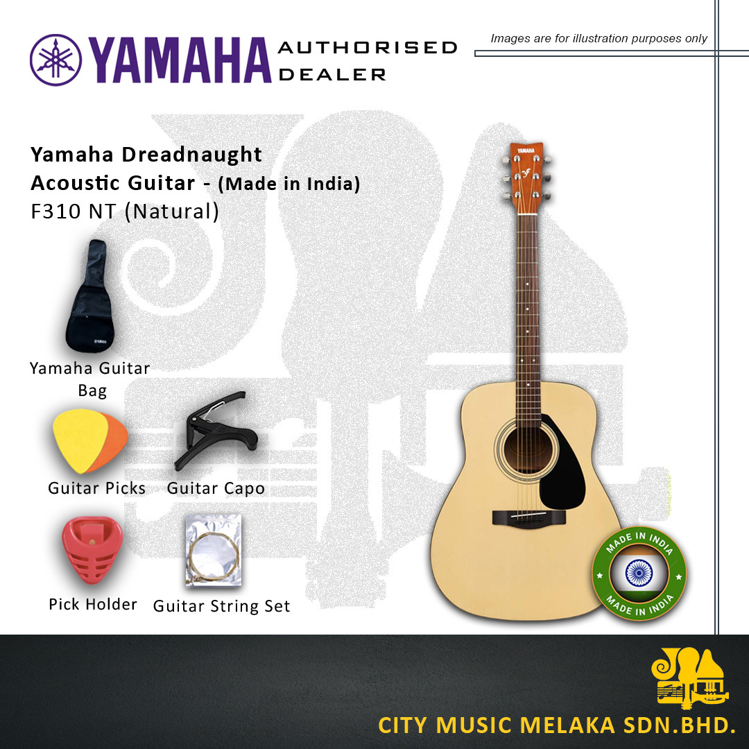 Yamaha F310 (Made in India)_v3