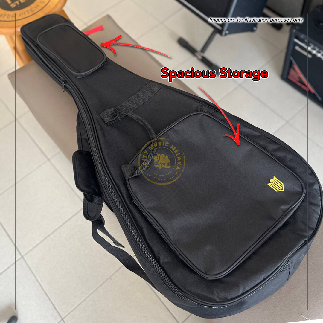 AK Padded Guitar Bag - 1