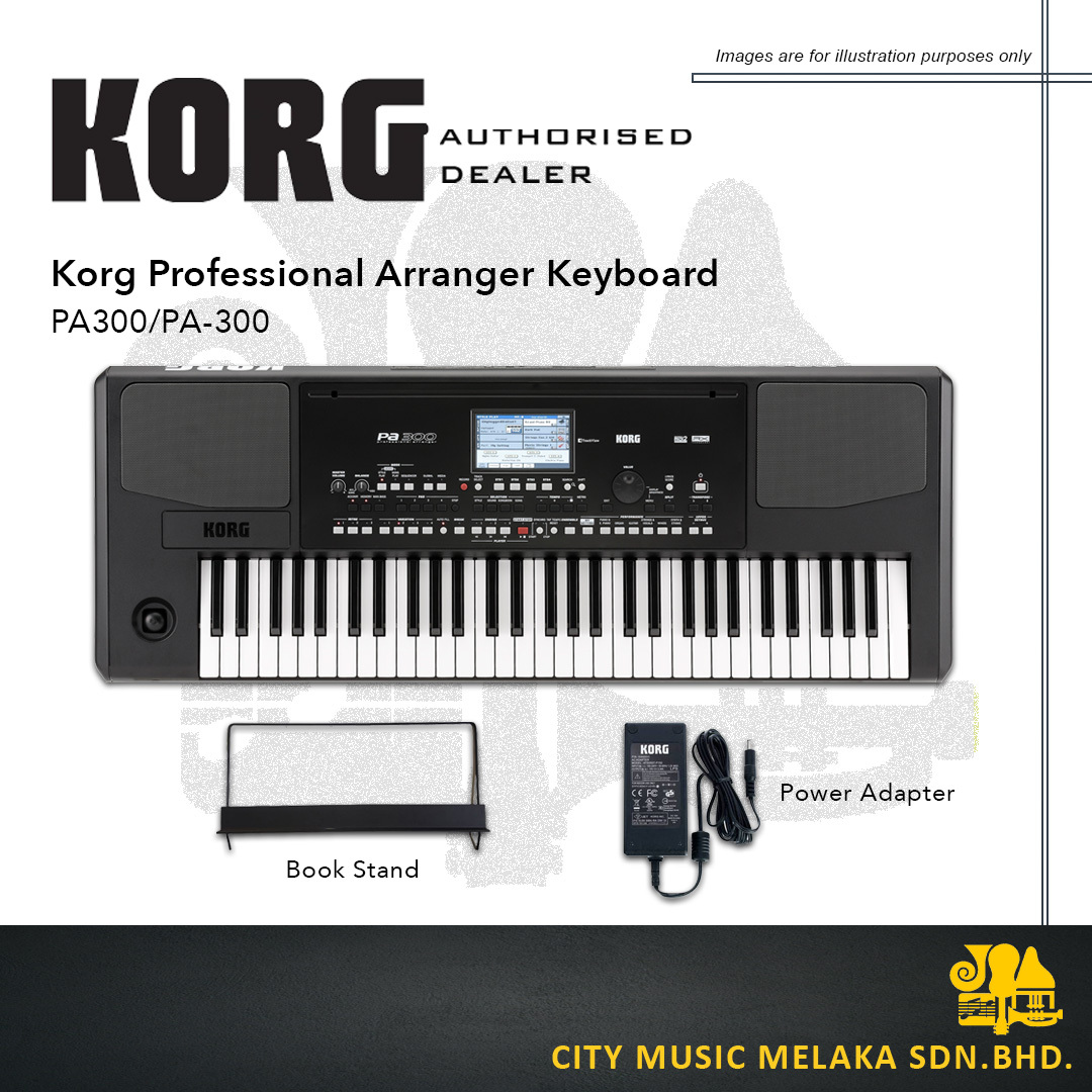 Korg PA300