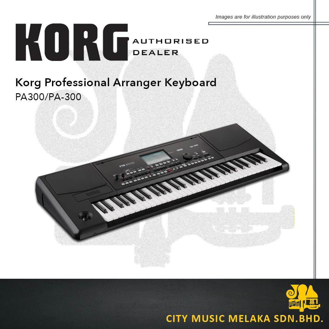 Korg PA300 - 2