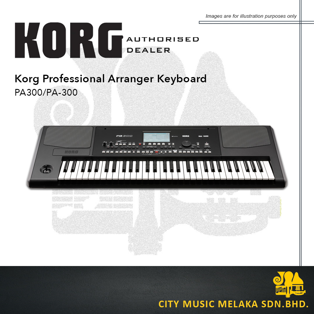 Korg PA300 - 1