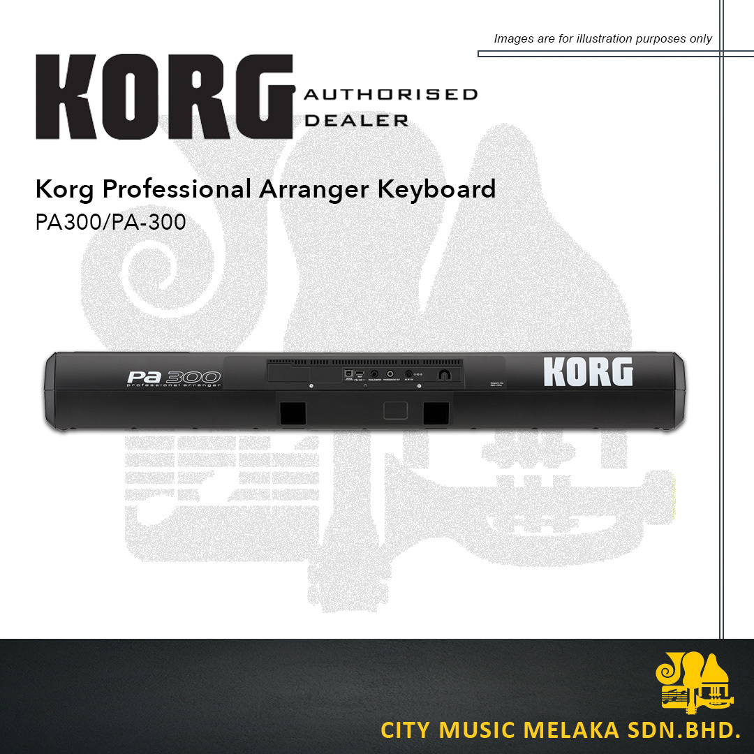 Korg PA300 - 3