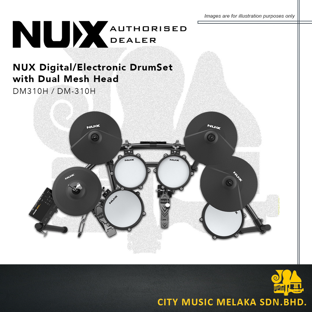 NUX DM310H - 2