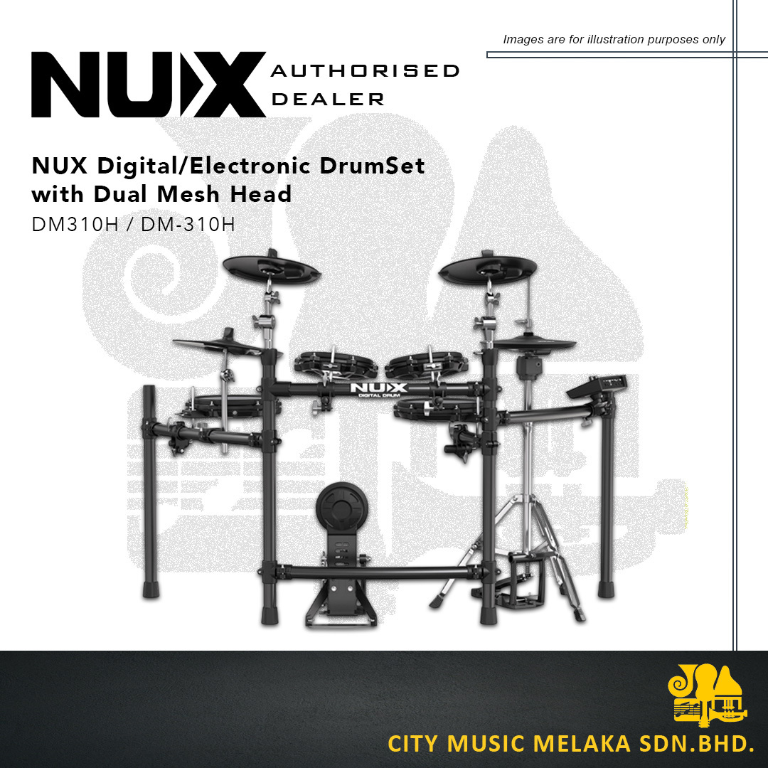 NUX DM310H - 3