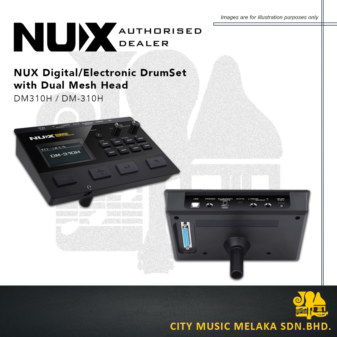 NUX DM310H - 4