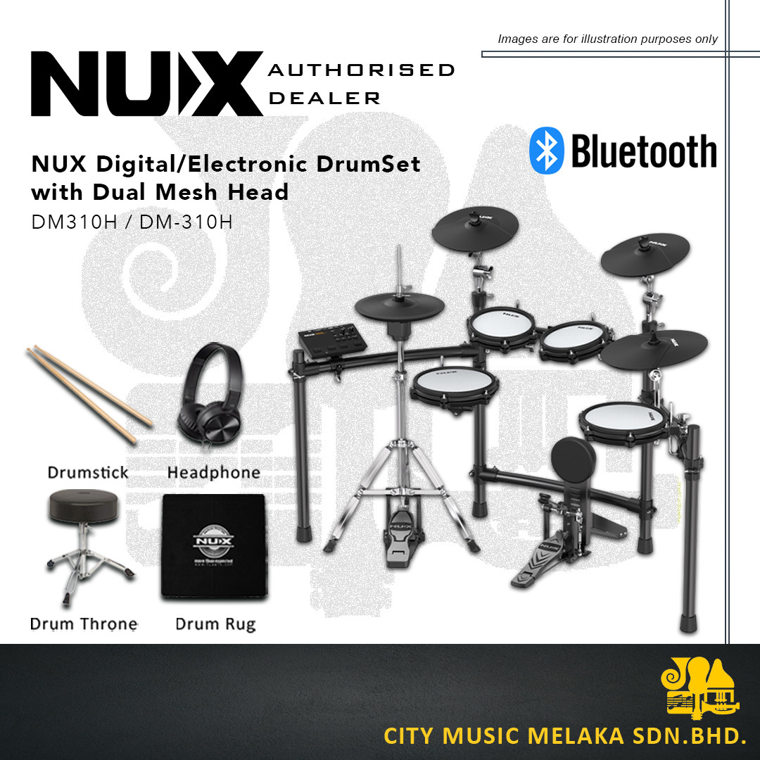 NUX DM310H