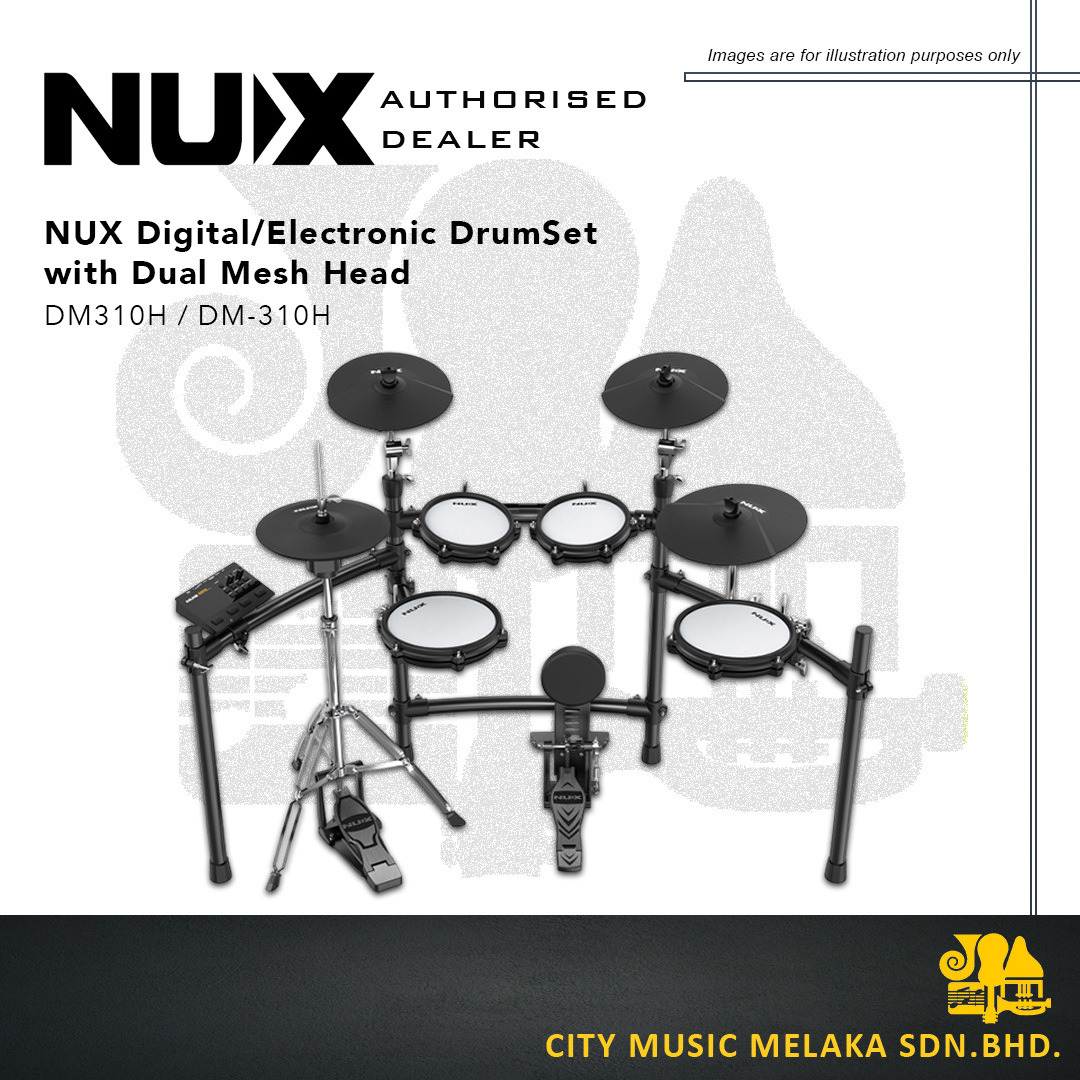 NUX DM310H - 1