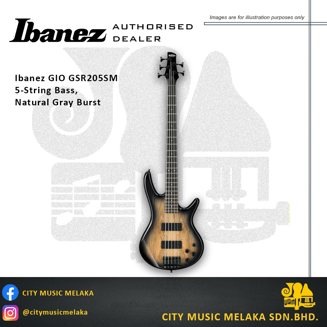 Ibanez GSR205SM.jpg