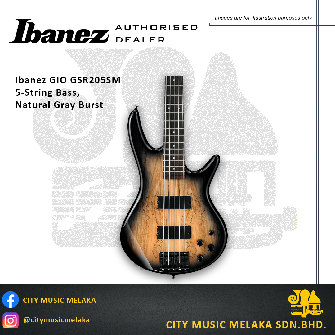 Ibanez GSR205SM - 1.jpg