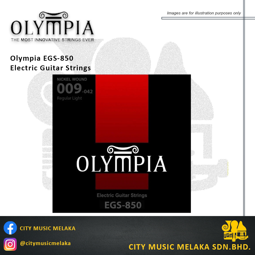 Olympia Electric EGS-850 - 1.jpg