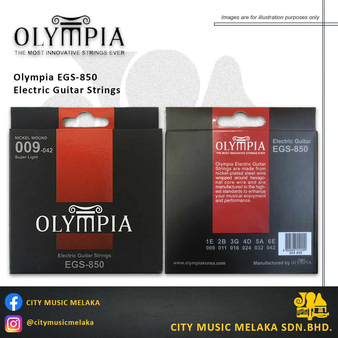 Olympia Electric EGS-850 - 2.jpg