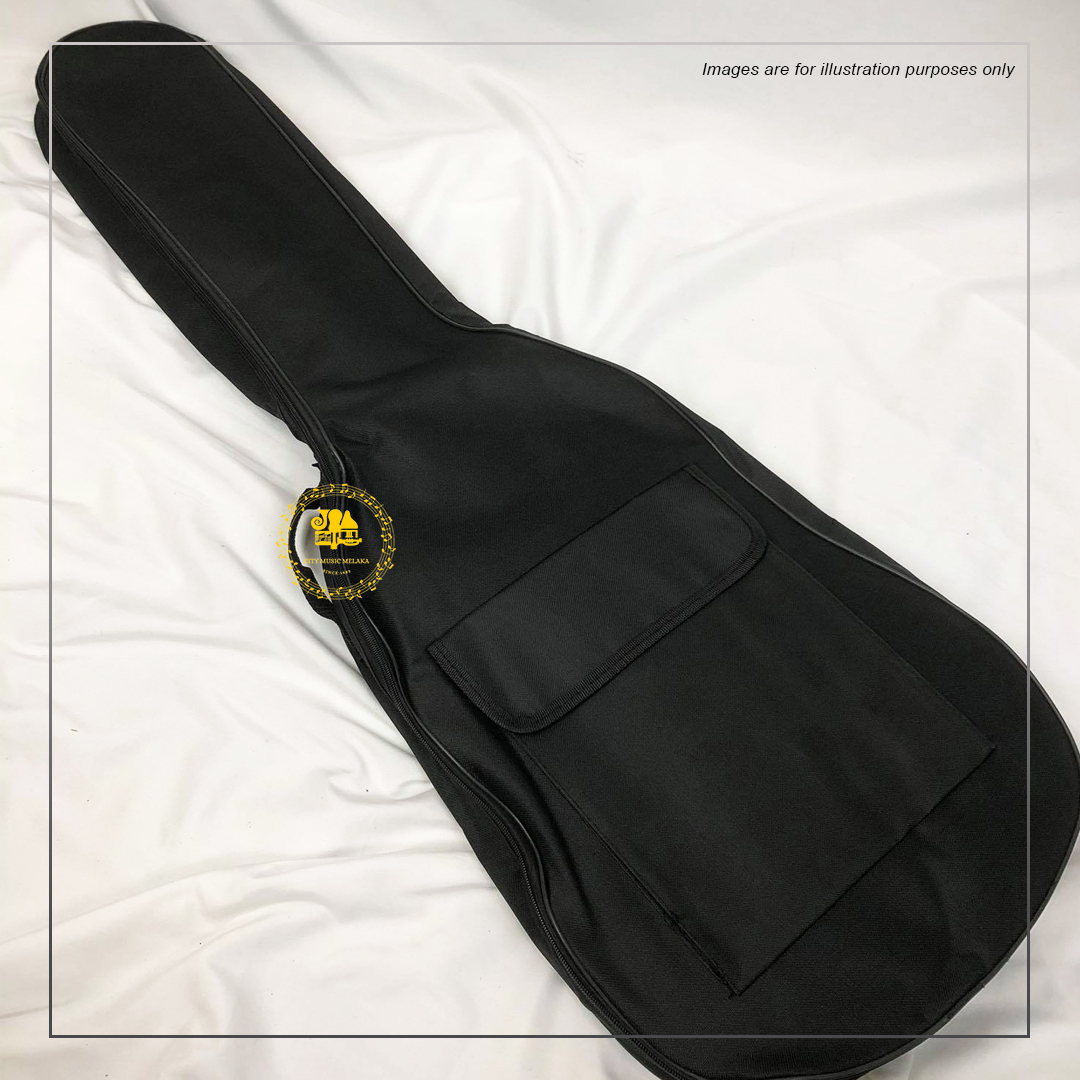 Electric Guitar Bag - 3.jpg