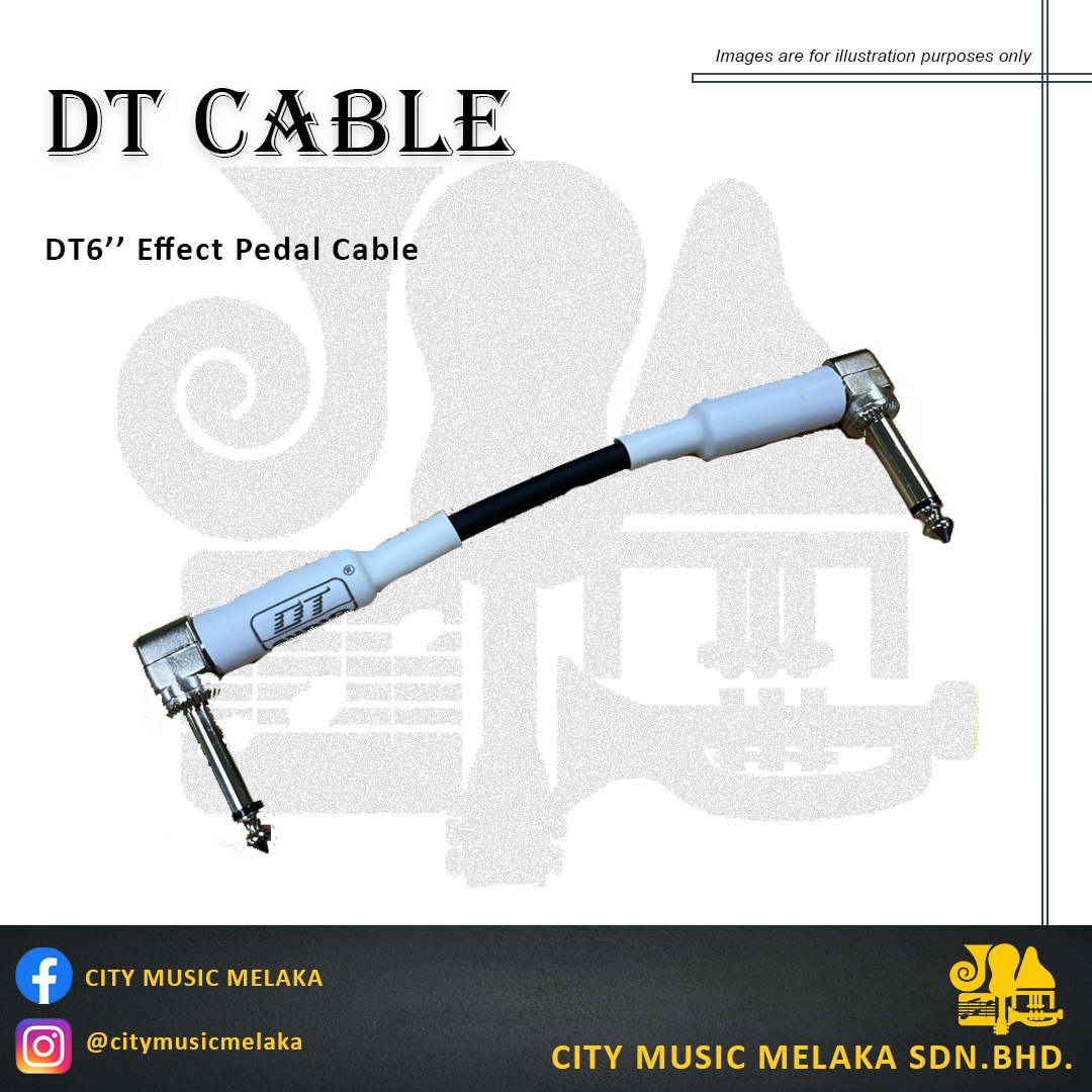 DT6'' Audio Effect Cable.jpg