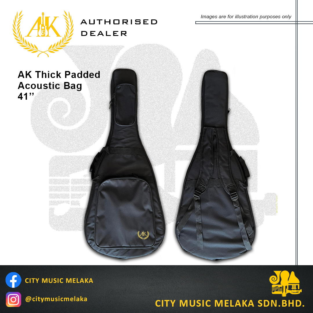 AK Thick Padded Acoustic Bag.jpg