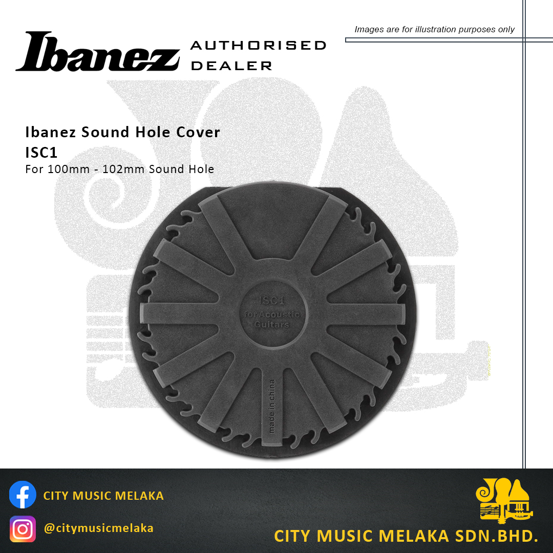 ISC1 Soundhole Cover - 2.jpg