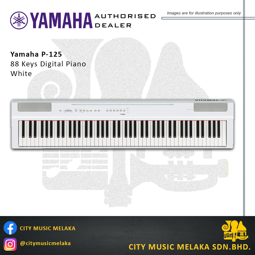 Yamaha WE P125 - 2.jpg