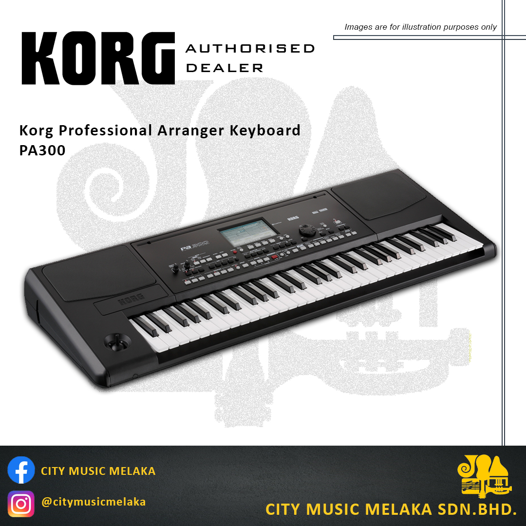 Korg PA300 - 2.jpg