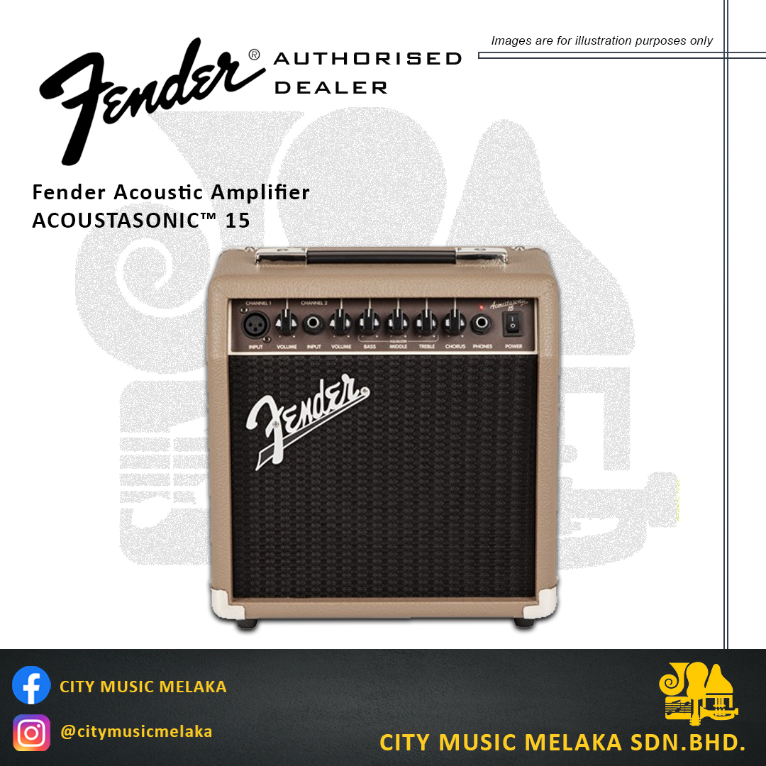Fender Acoustasonic 15.jpg