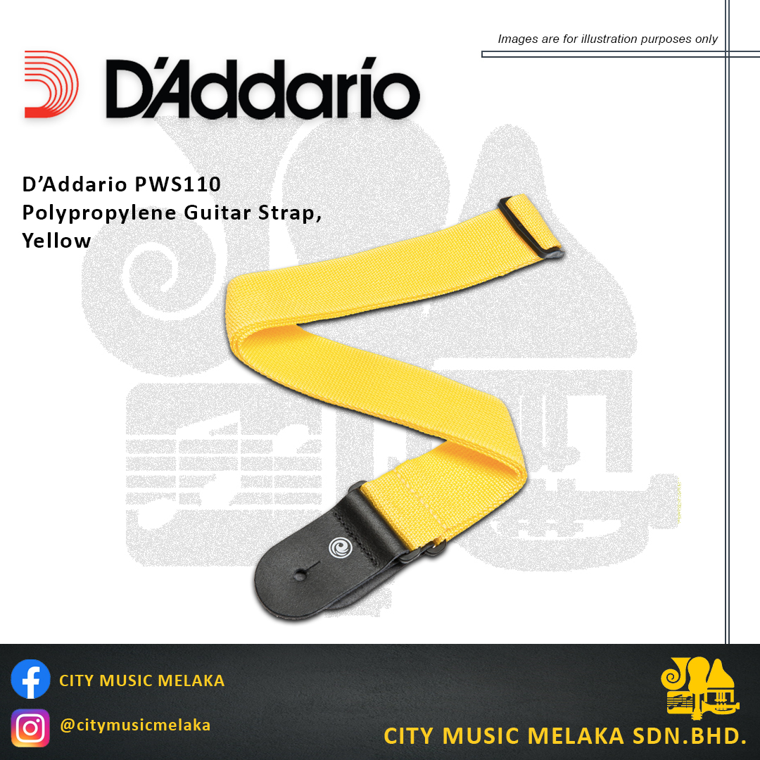 D'addario PWS110 Strap.jpg