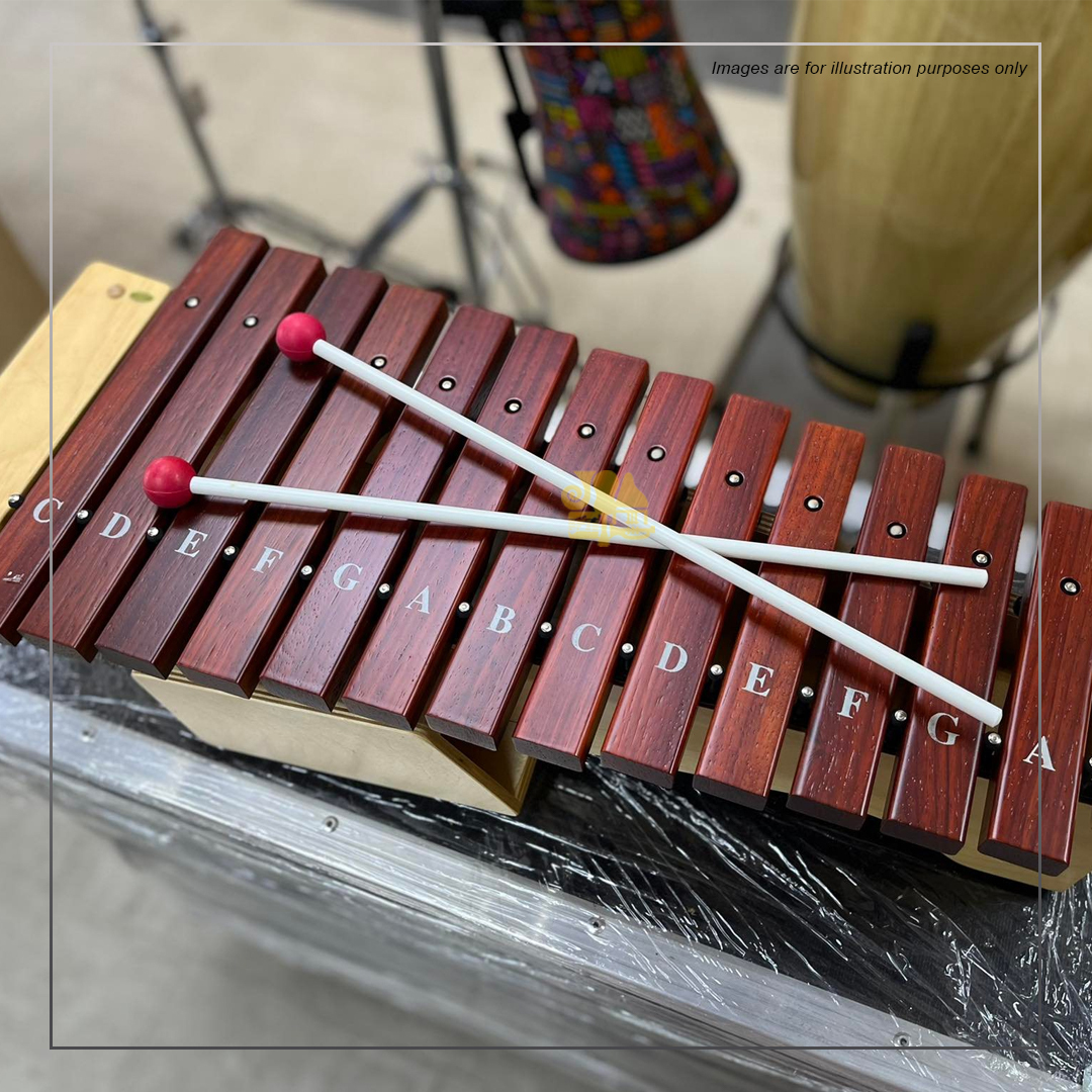 Maxtone Xylophone 801 - 1.jpg