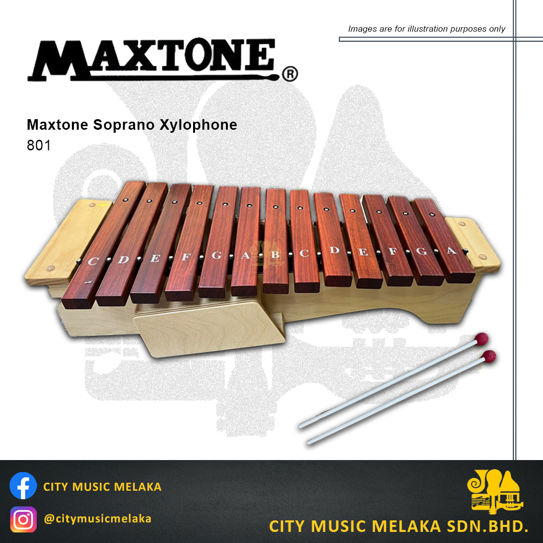 Maxtone Xylophone 801.jpg