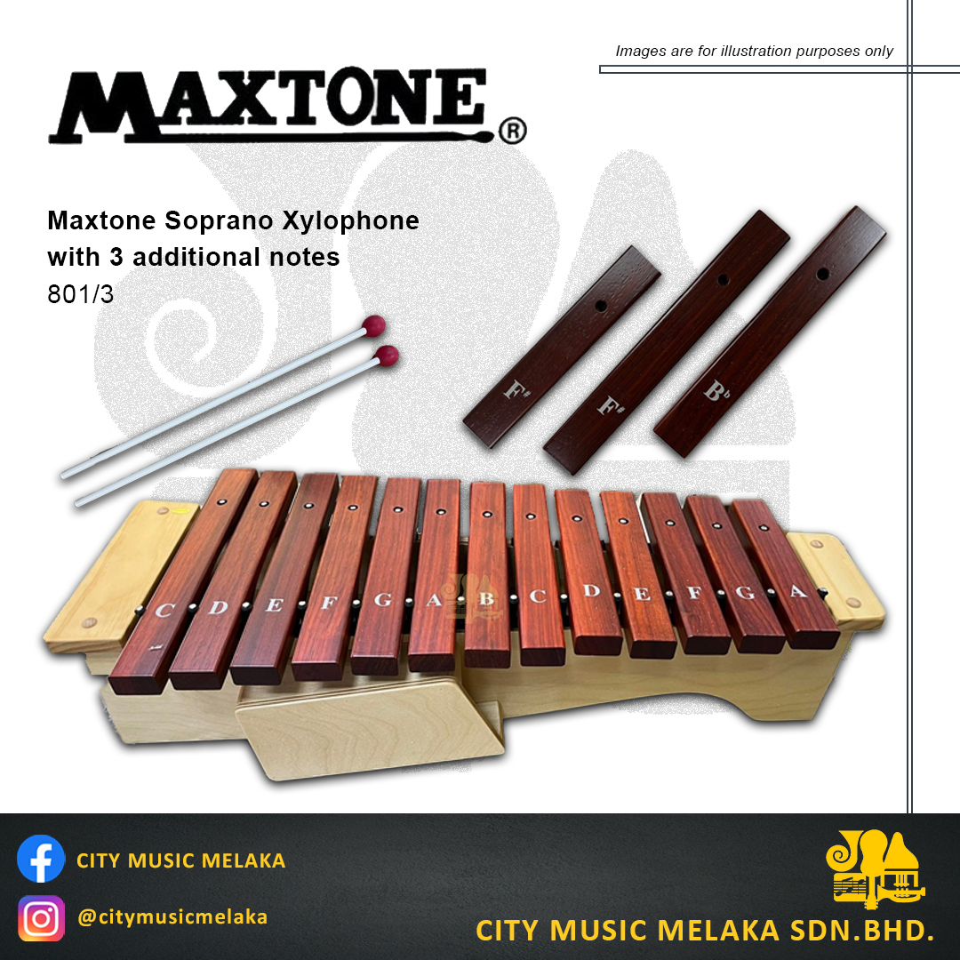 Maxtone Xylophone 801-3.jpg