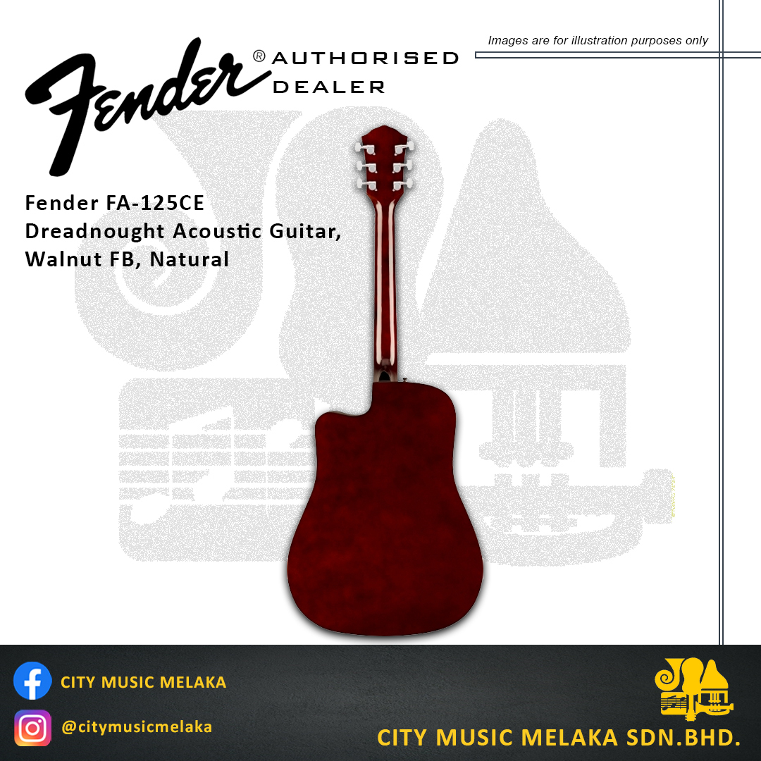 Fender FA125CE - 1.jpg