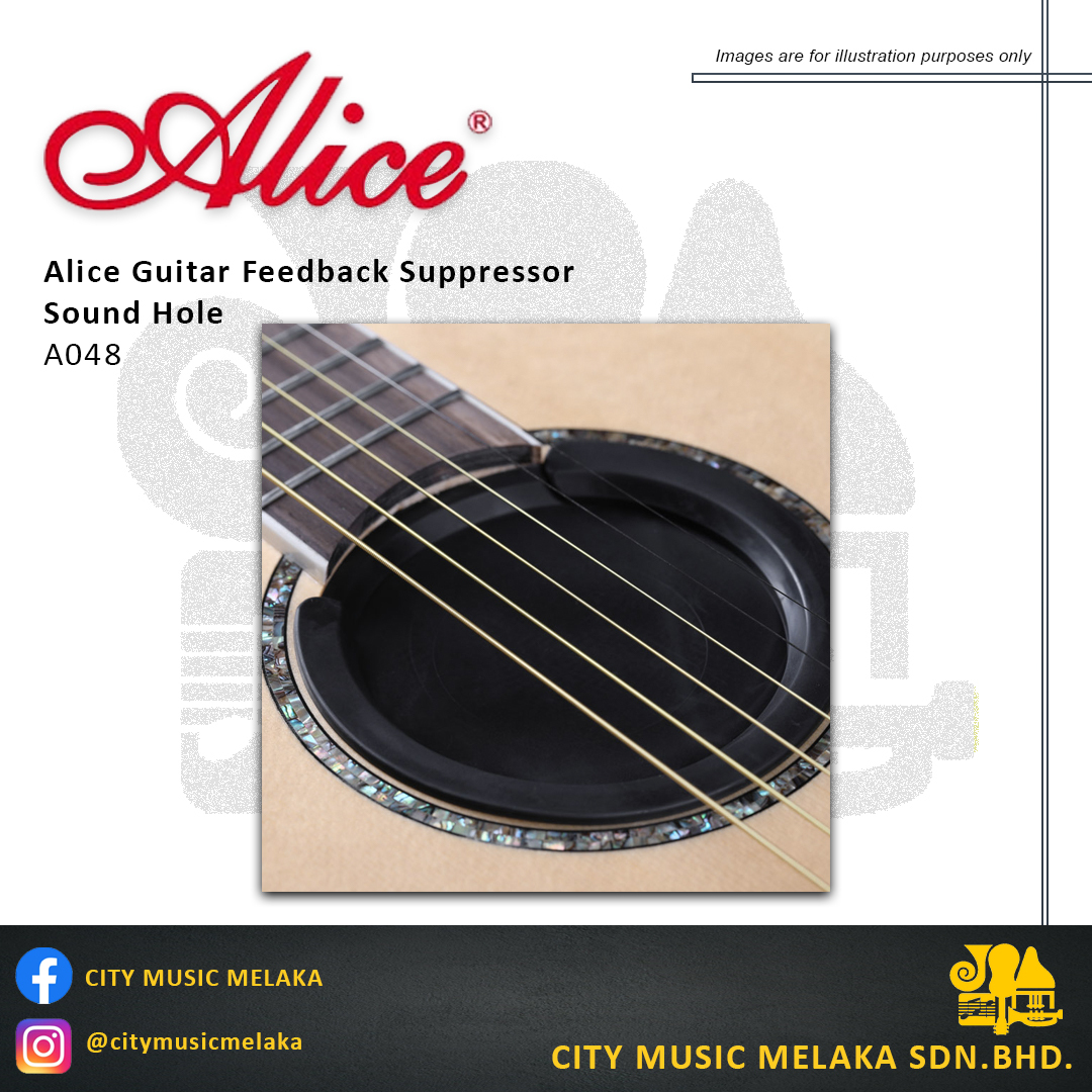 Alice A048 Sound Hole - 1