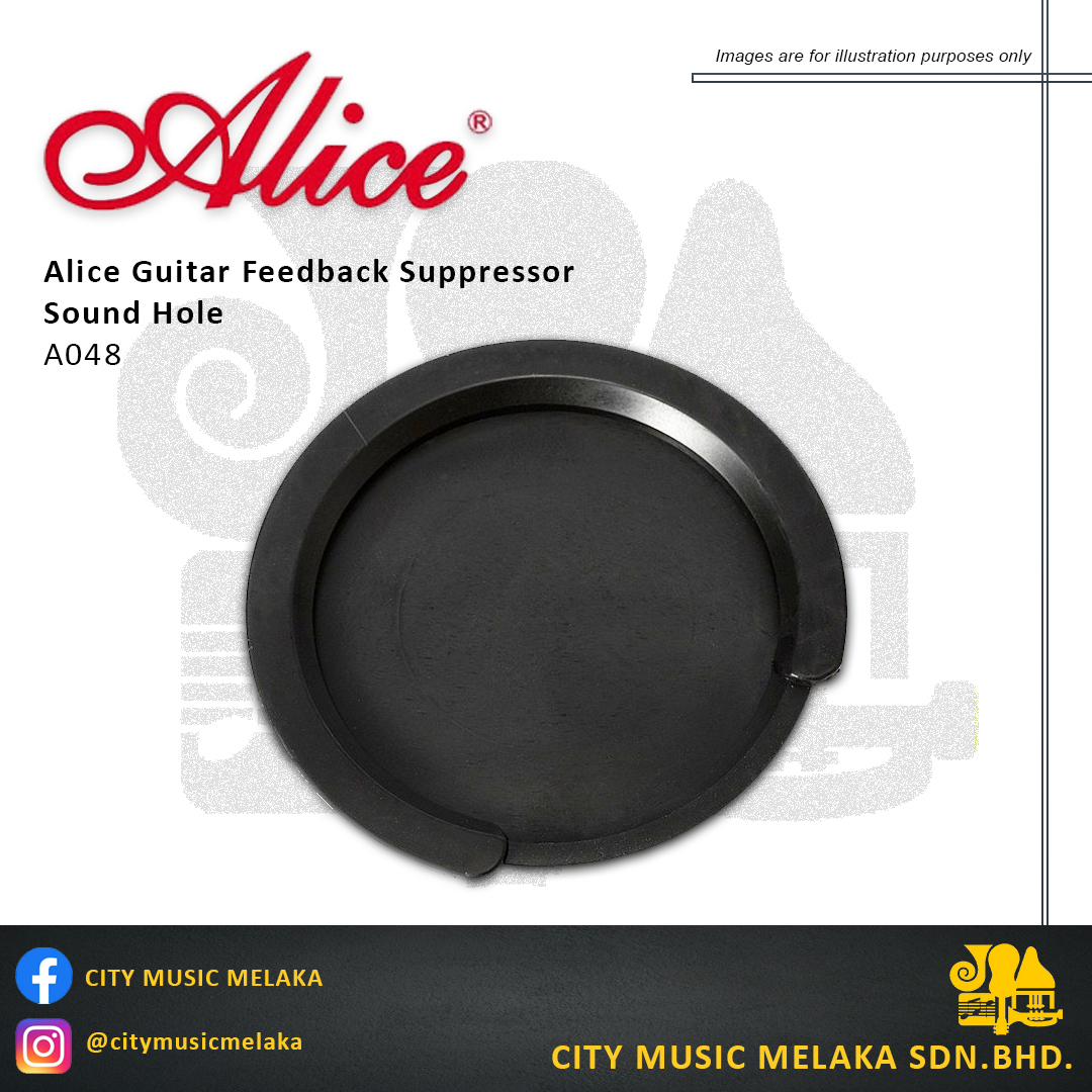 Alice A048 Sound Hole