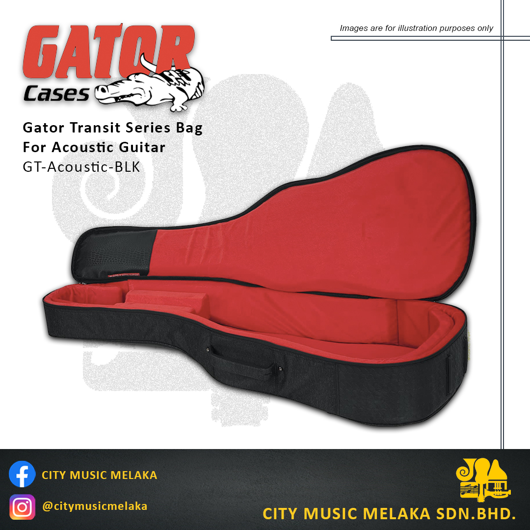 Gator Transit Acoustic - 3
