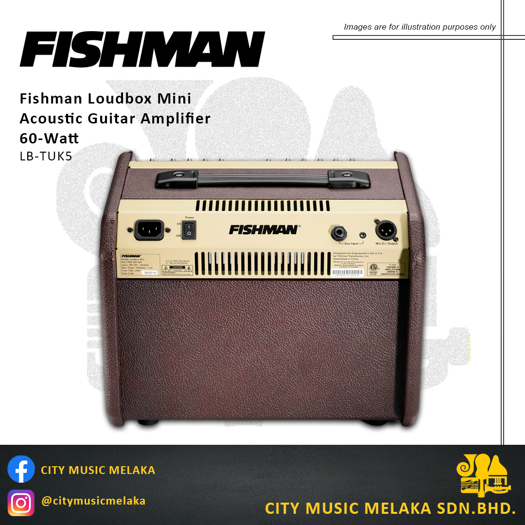 Fishman Loudbox Mini Amplifier - 1