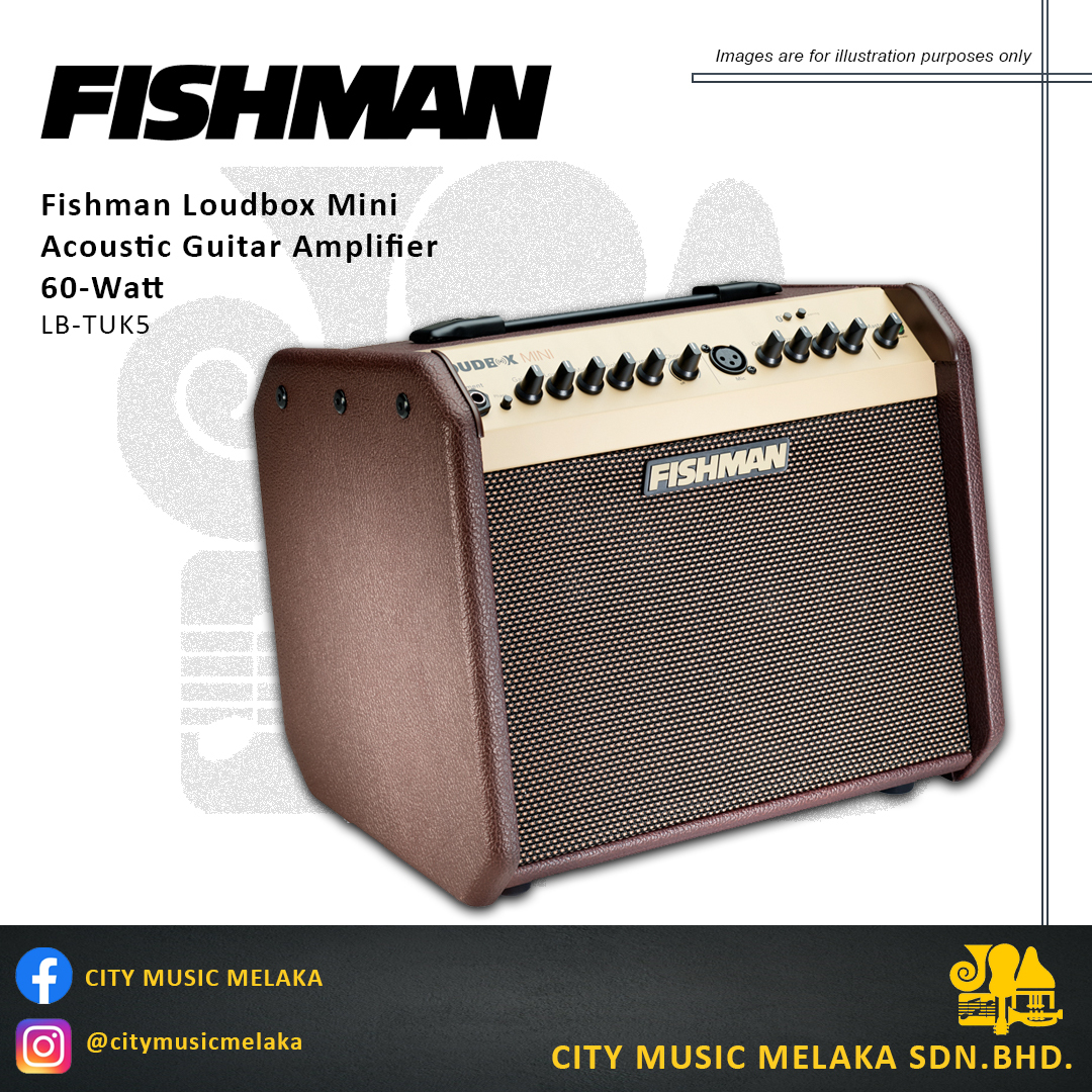 Fishman Loudbox Mini Amplifier - 2