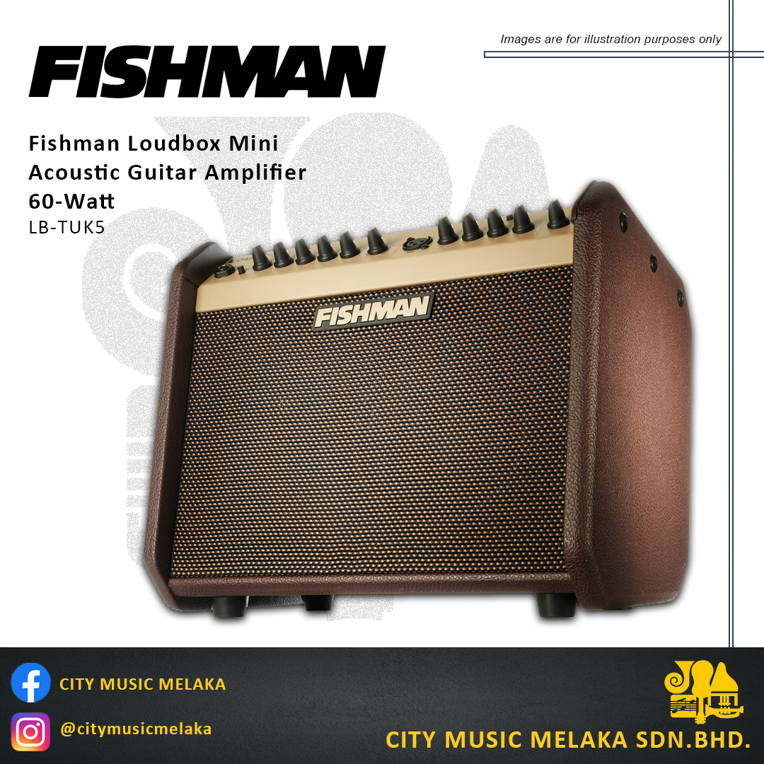 Fishman Loudbox Mini Amplifier - 4