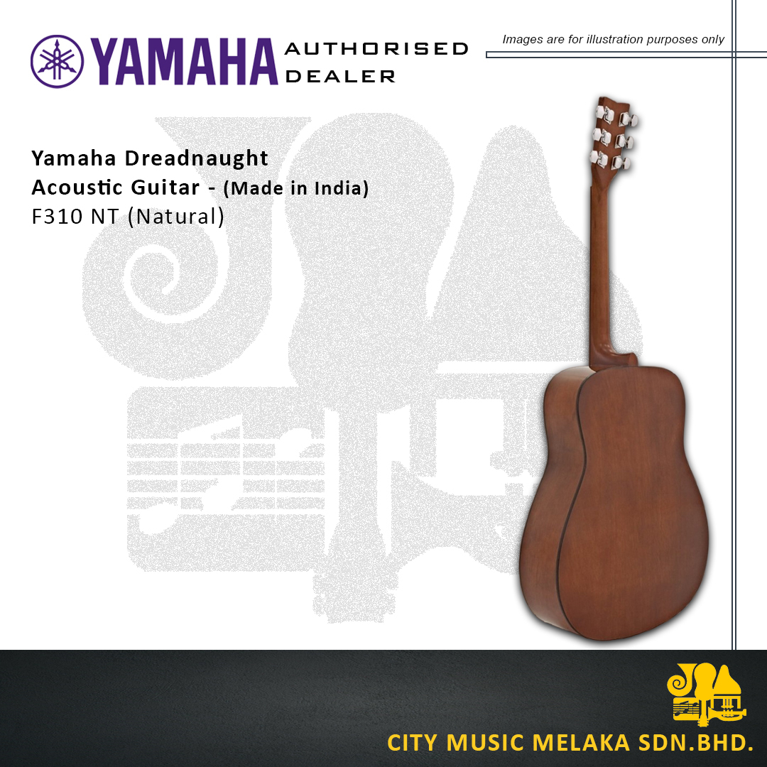 Yamaha F310NT (Made in India) - 4