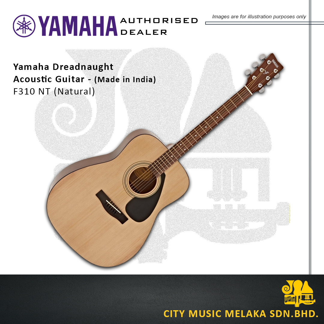 Yamaha F310NT (Made in India) - 2