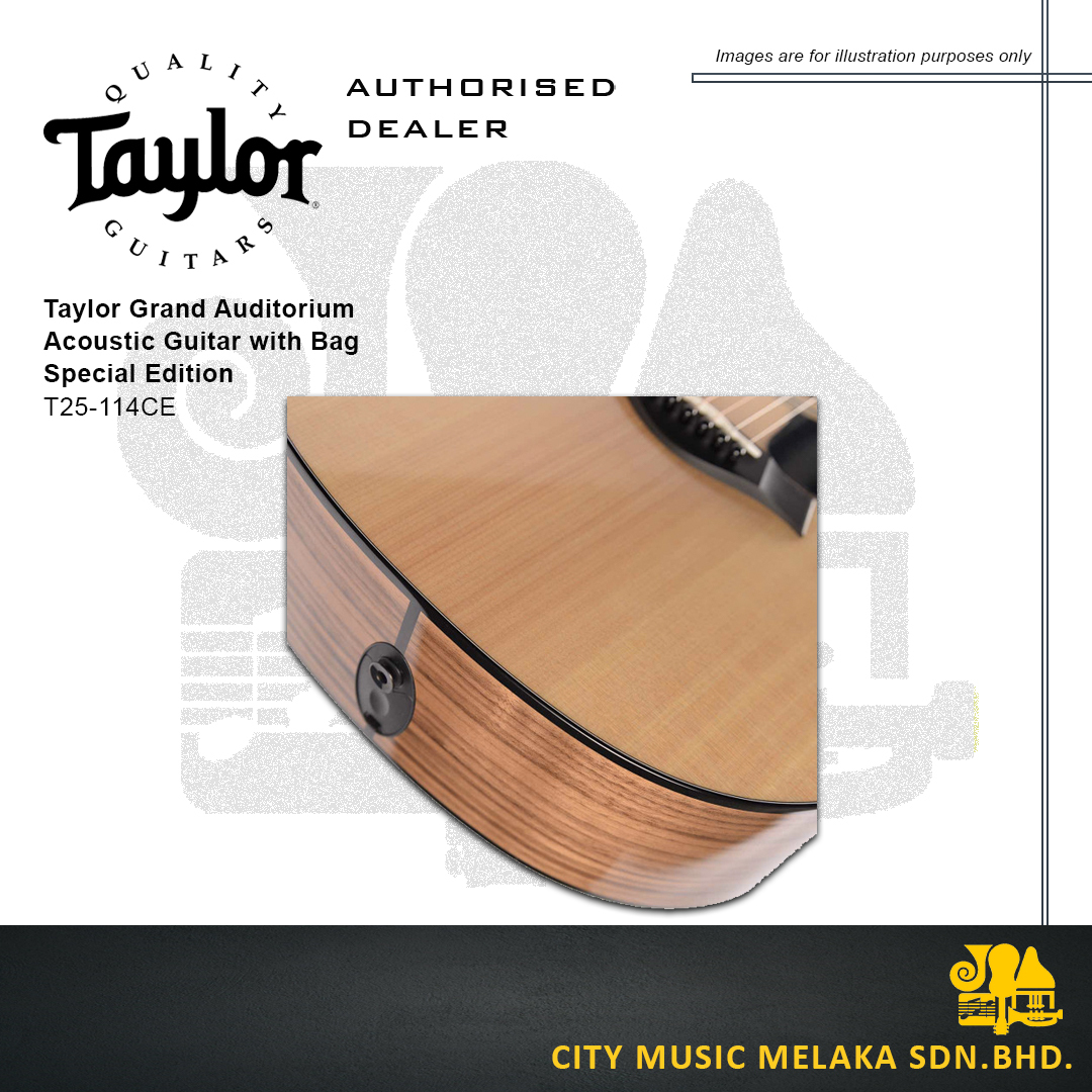Taylor T25-114CE - 4