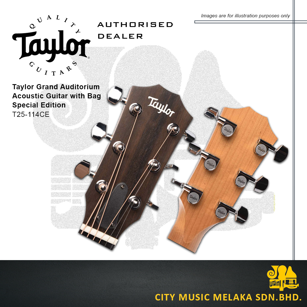 Taylor T25-114CE - 5