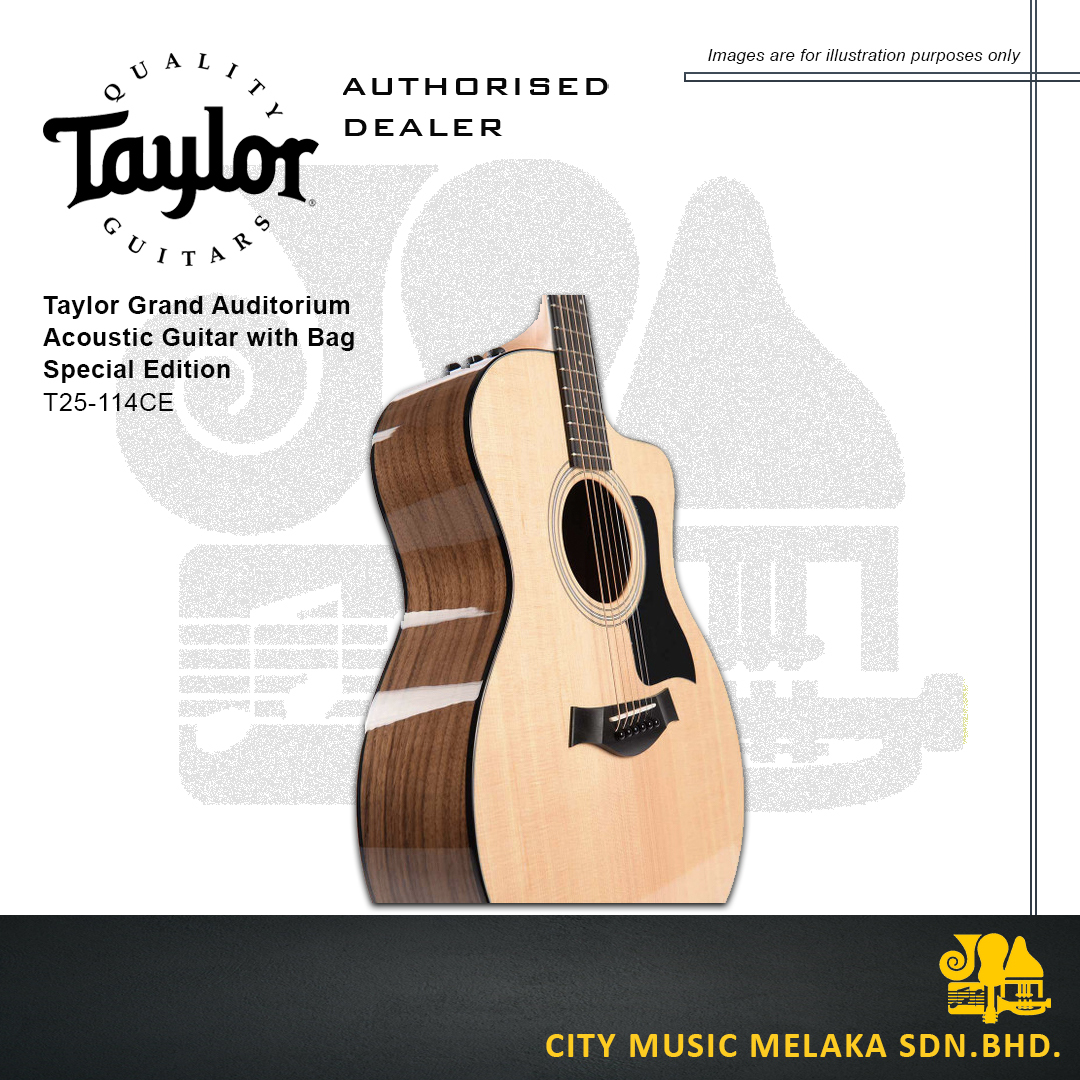 Taylor T25-114CE - 2