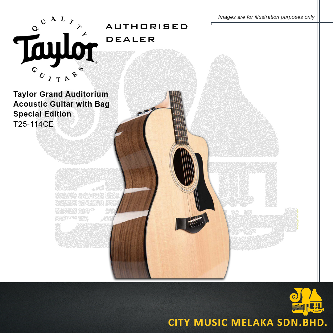 Taylor T25-114CE - 2